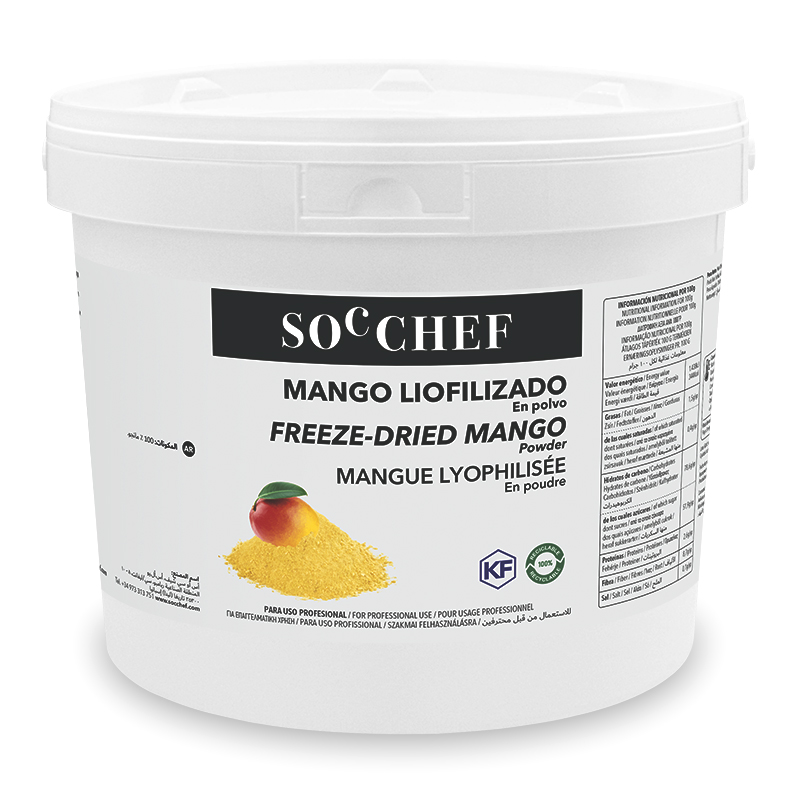 FREEZE-DRIED MANGO POWDER 0-1MM 5kg